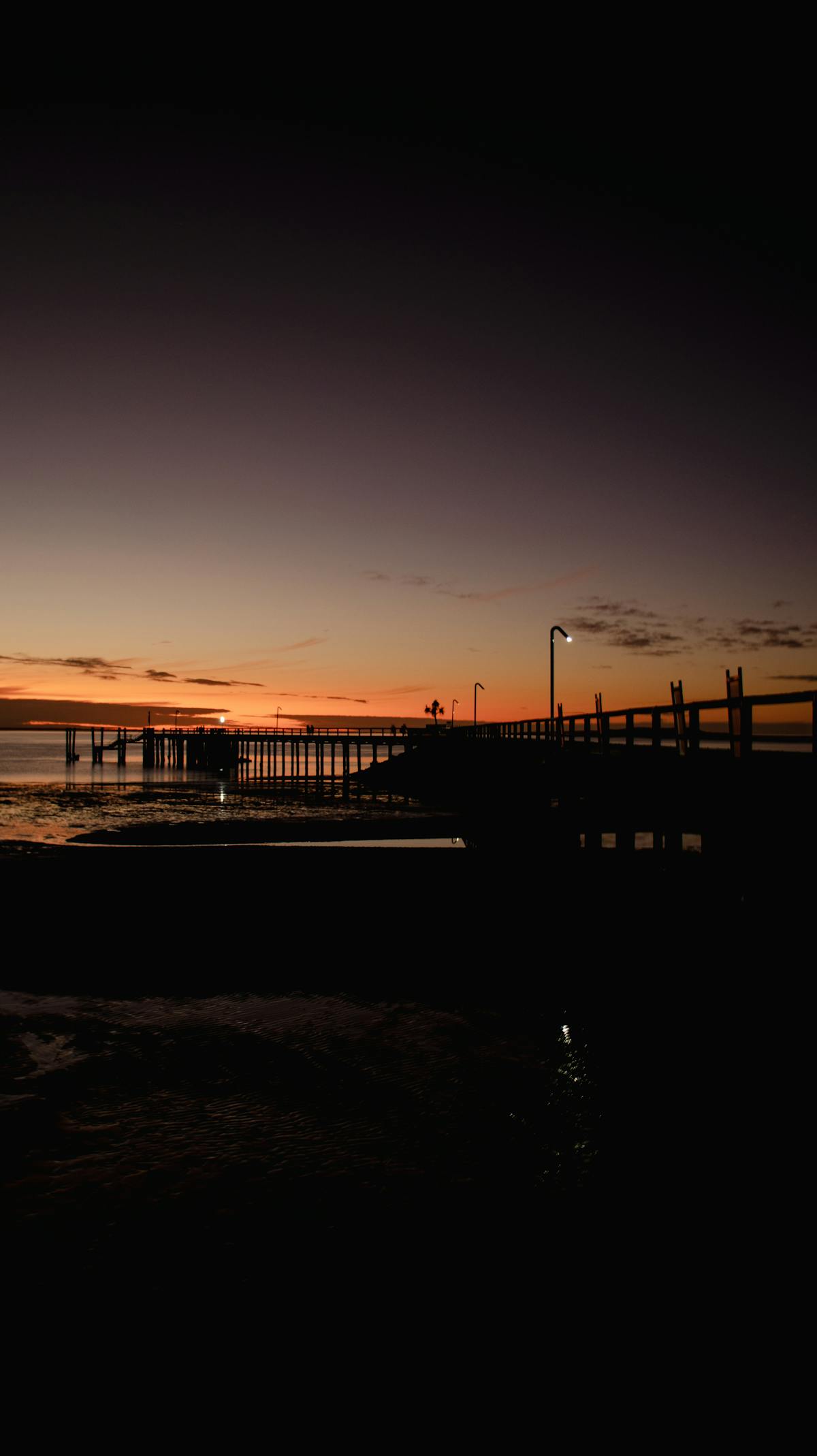 Experienced Toyota repair automotive professional showcase